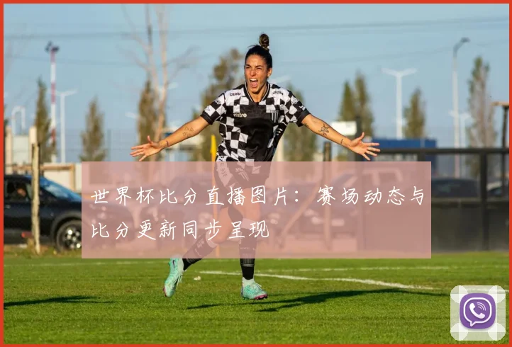 世界杯比分直播图片：赛场动态与比分更新同步呈现
