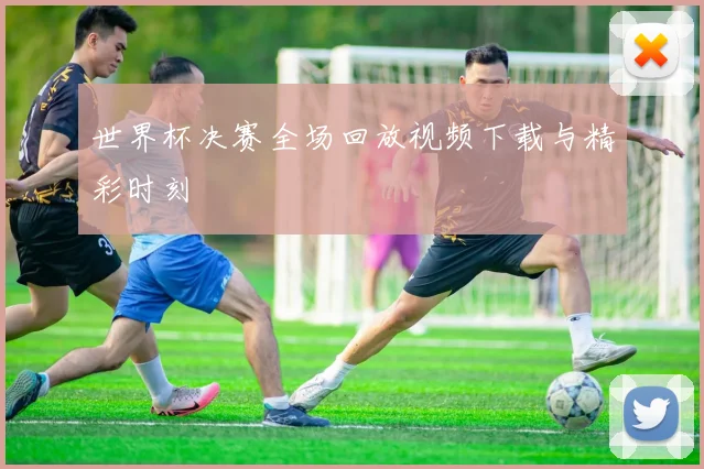 世界杯决赛全场回放视频下载与精彩时刻