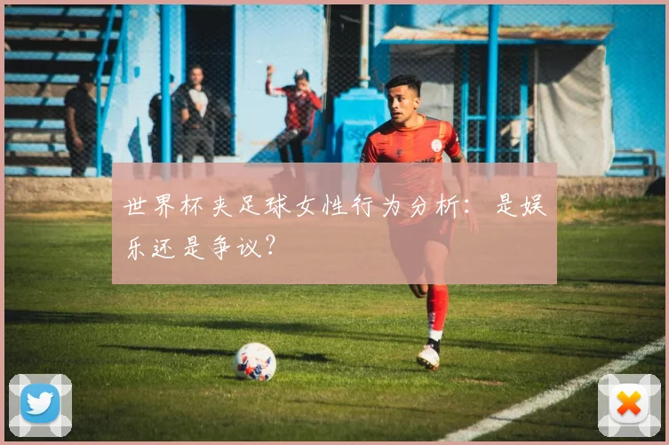 世界杯夹足球女性行为分析：是娱乐还是争议？