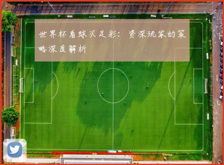 世界杯看球买足彩：资深玩家的策略深度解析