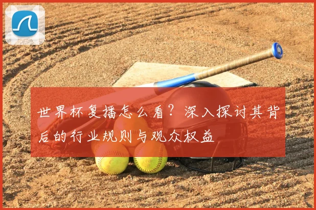 世界杯复播怎么看？深入探讨其背后的行业规则与观众权益