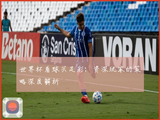 世界杯看球买足彩：资深玩家的策略深度解析
