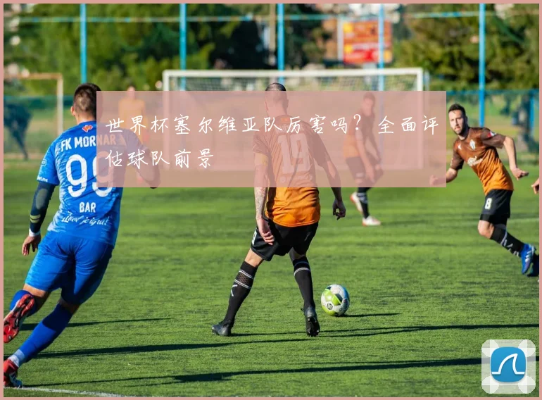 世界杯塞尔维亚队厉害吗？全面评估球队前景
