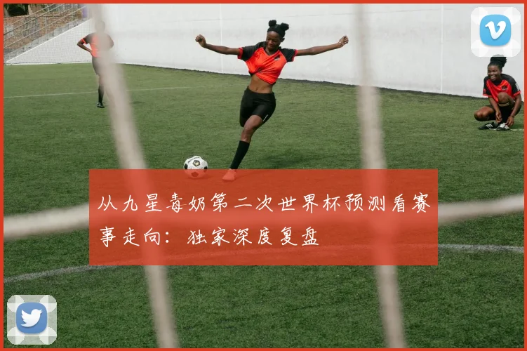 从九星毒奶第二次世界杯预测看赛事走向:独家深度复盘