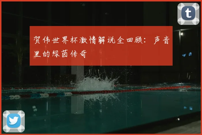 贺伟世界杯激情解说全回顾:声音里的绿茵传奇