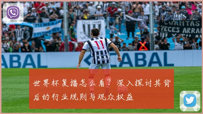 世界杯复播怎么看？深入探讨其背后的行业规则与观众权益