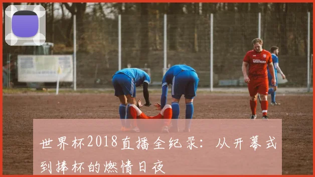 世界杯2018直播全纪录：从开幕式到捧杯的燃情日夜