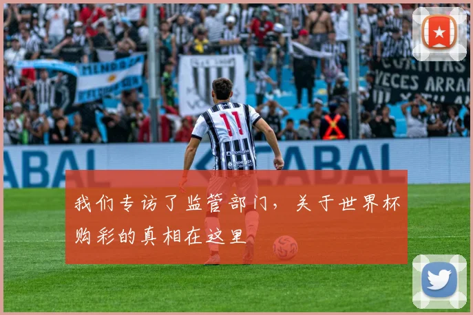 我们专访了监管部门，关于世界杯购彩的真相在这里