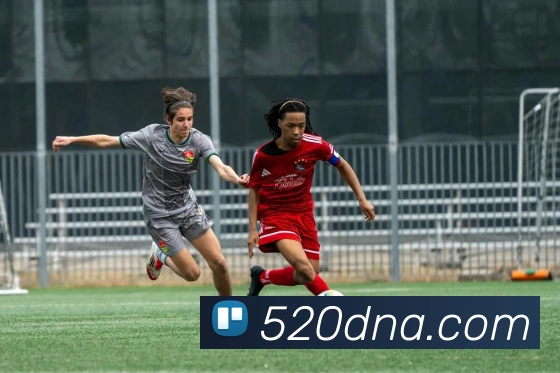 App Interface Preview