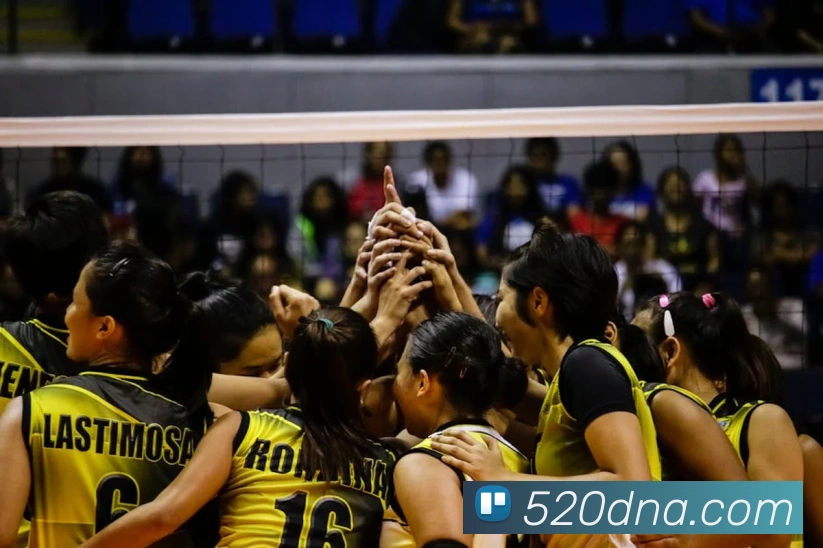 安博app下载网站APP 封面图